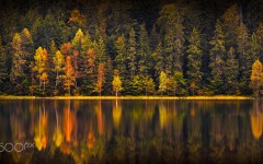 Desktop wallpaper. Nature. ID:86887
