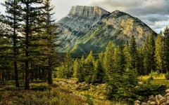 Desktop wallpaper. Nature. ID:86974