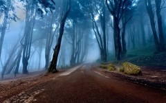 Desktop wallpaper. Nature. ID:87072