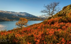 Desktop wallpaper. Nature. ID:87164