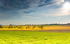 Desktop wallpaper. Nature. ID:87257