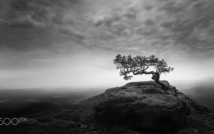 Desktop wallpaper. Nature. ID:87267
