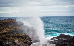Desktop wallpaper. Nature. ID:87398