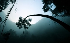 Desktop wallpaper. Nature. ID:87626