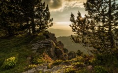 Desktop wallpaper. Nature. ID:87639