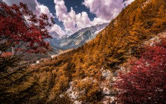 Desktop wallpaper. Nature. ID:87648