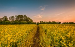 Desktop wallpaper. Nature. ID:87671