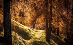 Desktop wallpaper. Nature. ID:87766