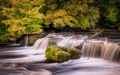 Desktop wallpaper. Nature. ID:87814