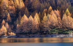 Desktop wallpaper. Nature. ID:87825