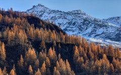 Desktop wallpaper. Nature. ID:87826