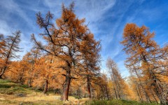Desktop wallpaper. Nature. ID:87828