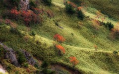 Desktop wallpaper. Nature. ID:88005