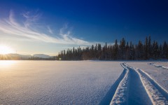 Desktop wallpaper. Nature. ID:88121