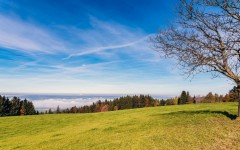 Desktop wallpaper. Nature. ID:88221