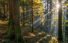 Desktop wallpaper. Nature. ID:88462