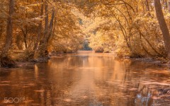 Desktop wallpaper. Nature. ID:88650