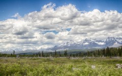 Desktop wallpaper. Nature. ID:88855