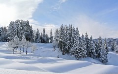 Desktop wallpaper. Nature. ID:88968