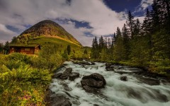 Desktop wallpaper. Nature. ID:88998