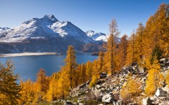 Desktop wallpaper. Nature. ID:89025