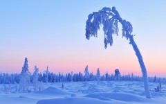 Desktop wallpaper. Nature. ID:89026