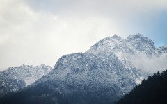 Desktop wallpaper. Nature. ID:89242