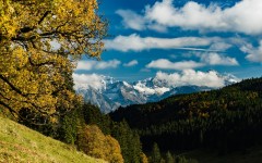 Desktop wallpaper. Nature. ID:89284