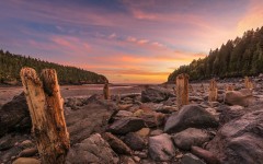 Desktop wallpaper. Nature. ID:89375