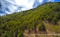 Desktop wallpaper. Nature. ID:89494