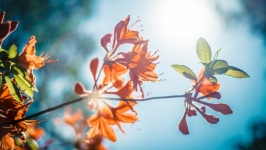 Desktop wallpaper. Nature. ID:89546