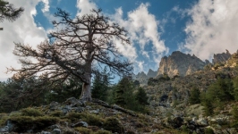 Desktop wallpaper. Nature. ID:89742