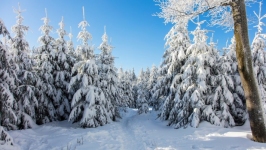 Desktop wallpaper. Nature. ID:89748
