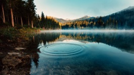Desktop wallpaper. Nature. ID:90113