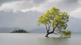 Desktop wallpaper. Nature. ID:90192