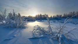 Desktop wallpaper. Nature. ID:90193
