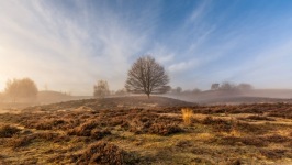 Desktop wallpaper. Nature. ID:90292