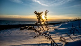 Desktop wallpaper. Nature. ID:90300