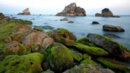 Desktop wallpaper. Nature. ID:90356