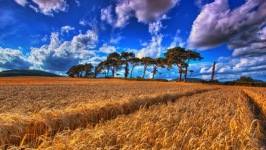 Desktop wallpaper. Nature. ID:90407