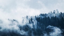 Desktop wallpaper. Nature. ID:90463