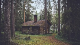 Desktop wallpaper. Nature. ID:90464