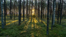 Desktop wallpaper. Nature. ID:90465