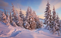Desktop wallpaper. Nature. ID:90687