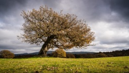Desktop wallpaper. Nature. ID:90793