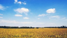 Desktop wallpaper. Nature. ID:90842
