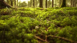Desktop wallpaper. Nature. ID:90862