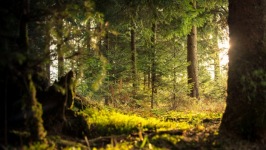 Desktop wallpaper. Nature. ID:90989