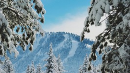 Desktop wallpaper. Nature. ID:91100