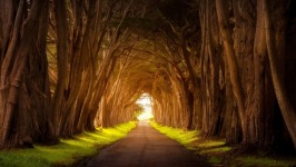 Desktop wallpaper. Nature. ID:91127